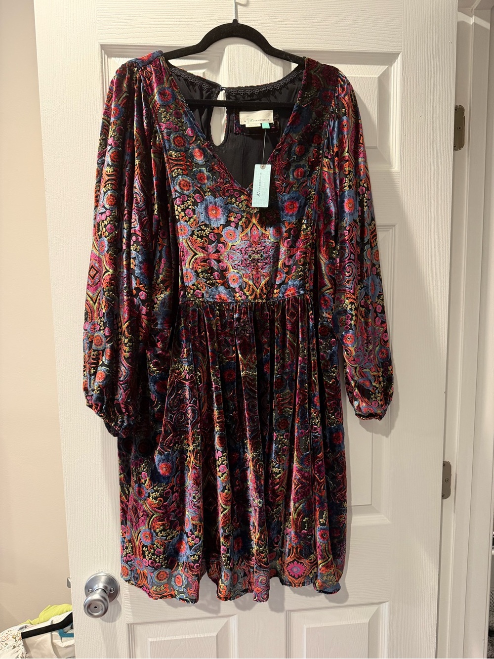 NWT Anthropologie Multicolor Velvet Floral Mini Dress with Long Sleeves